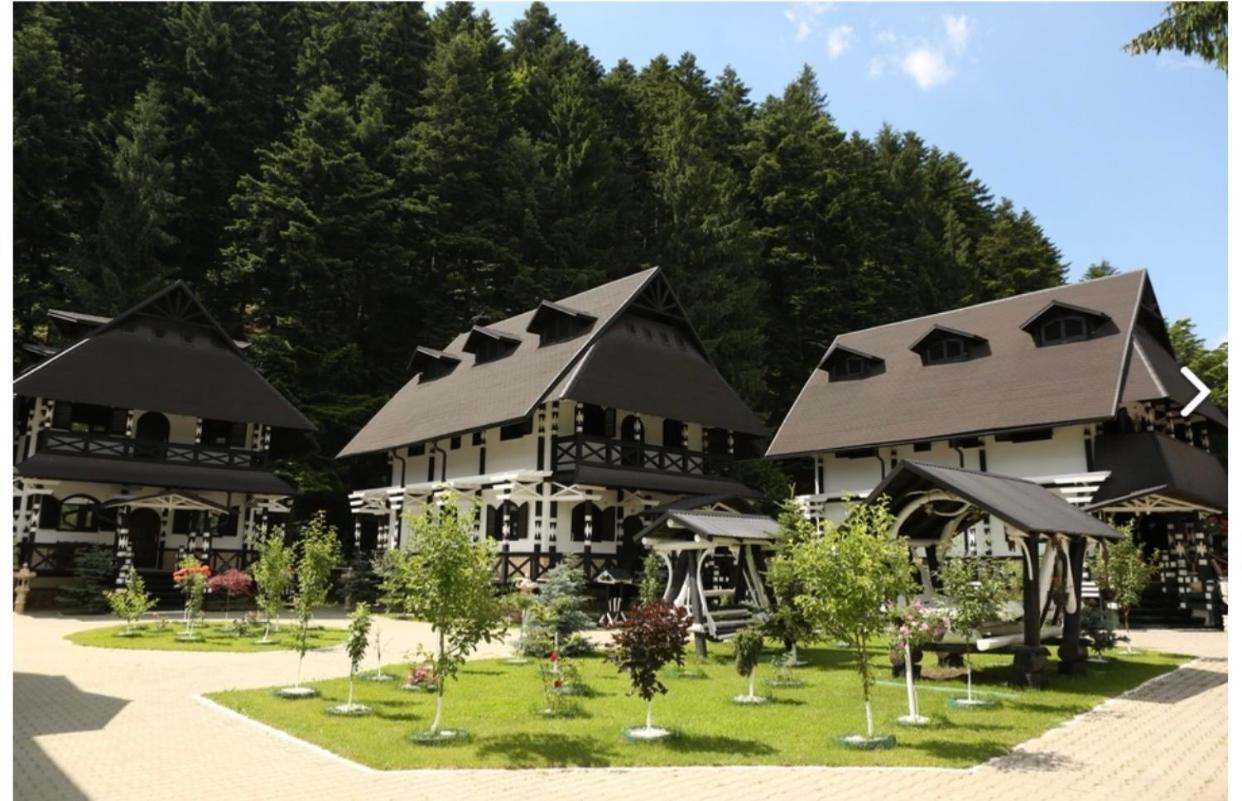 Hôtel Complex Lions Bucovina à Voroneț Extérieur photo